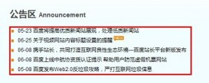 <b>合肥网络公司分析百度6月28大更新事件中网站被</b>