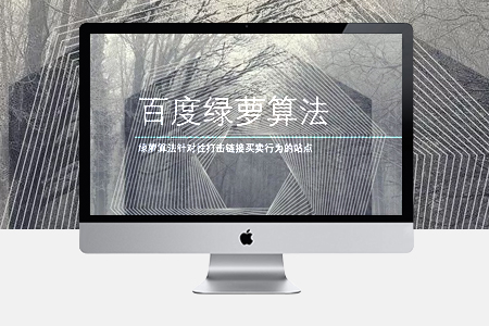 百度绿萝算法网站应该如何seo优化