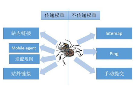 合肥网站优化：如何让网站吸引蜘蛛收录更多的