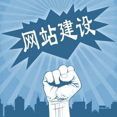 合肥网站建设公司,网站建设制作服务,网站外包公司